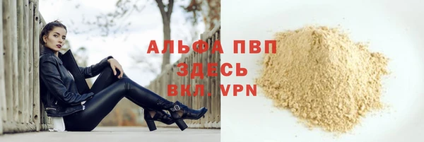 ПСИЛОЦИБИНОВЫЕ ГРИБЫ Бородино