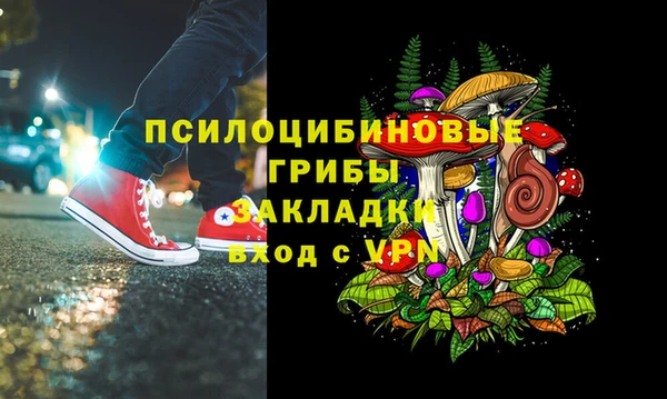 крисы Бронницы
