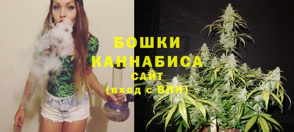 ПСИЛОЦИБИНОВЫЕ ГРИБЫ Бородино