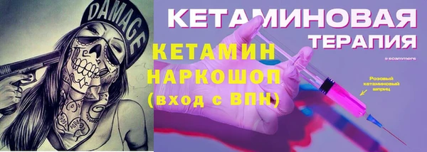 крисы Бронницы