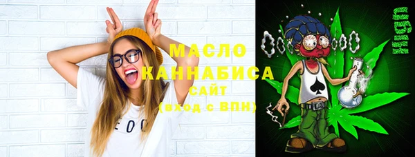 крисы Бронницы
