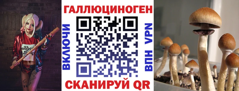 darknet официальный сайт  Ангарск  Галлюциногенные грибы мицелий  купить наркотик 